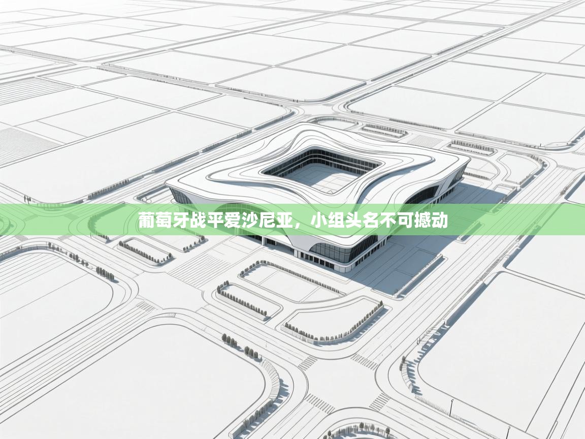 葡萄牙战平爱沙尼亚,小组头名不可撼动 第2张